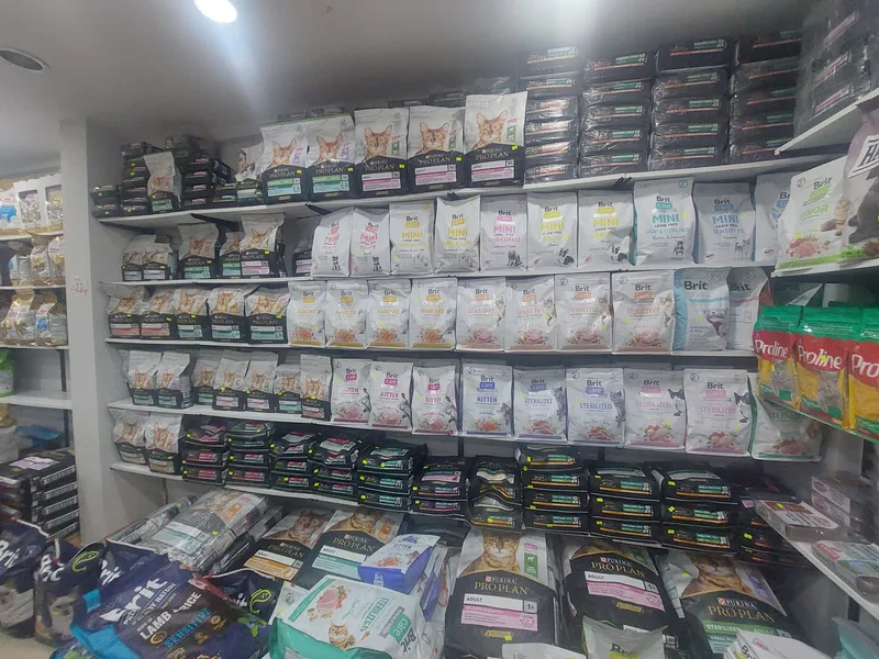 Hills kedi maması Samsun reyonu EnuygunPet Atakum